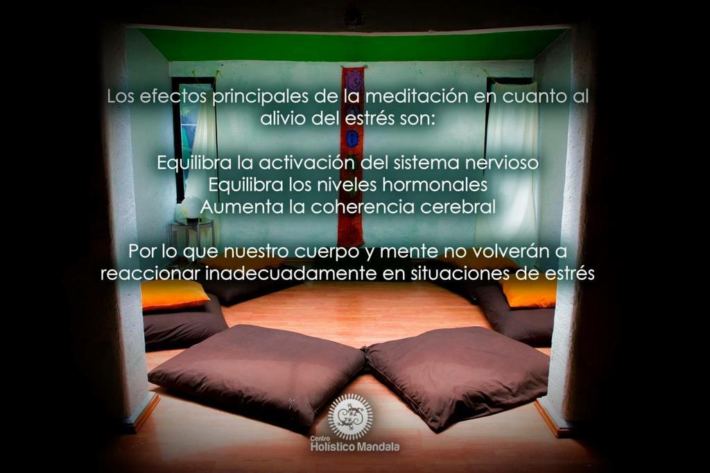 Mi Aldea Holistica Hotel Mexico By Eksteriør billede