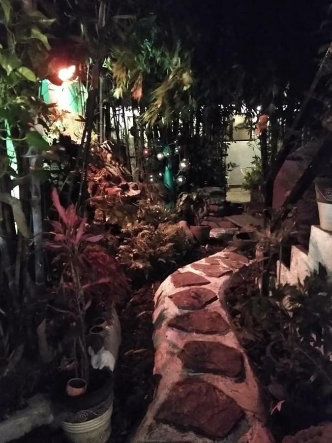 Mi Aldea Holistica Hotel Mexico By Eksteriør billede